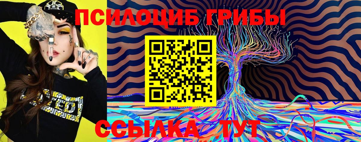 Галлюциногенные грибы MAGIC MUSHROOMS  Вход с VPN  Псилоцибиновые грибы MAGIC MUSHROOMS  Берёзовский 